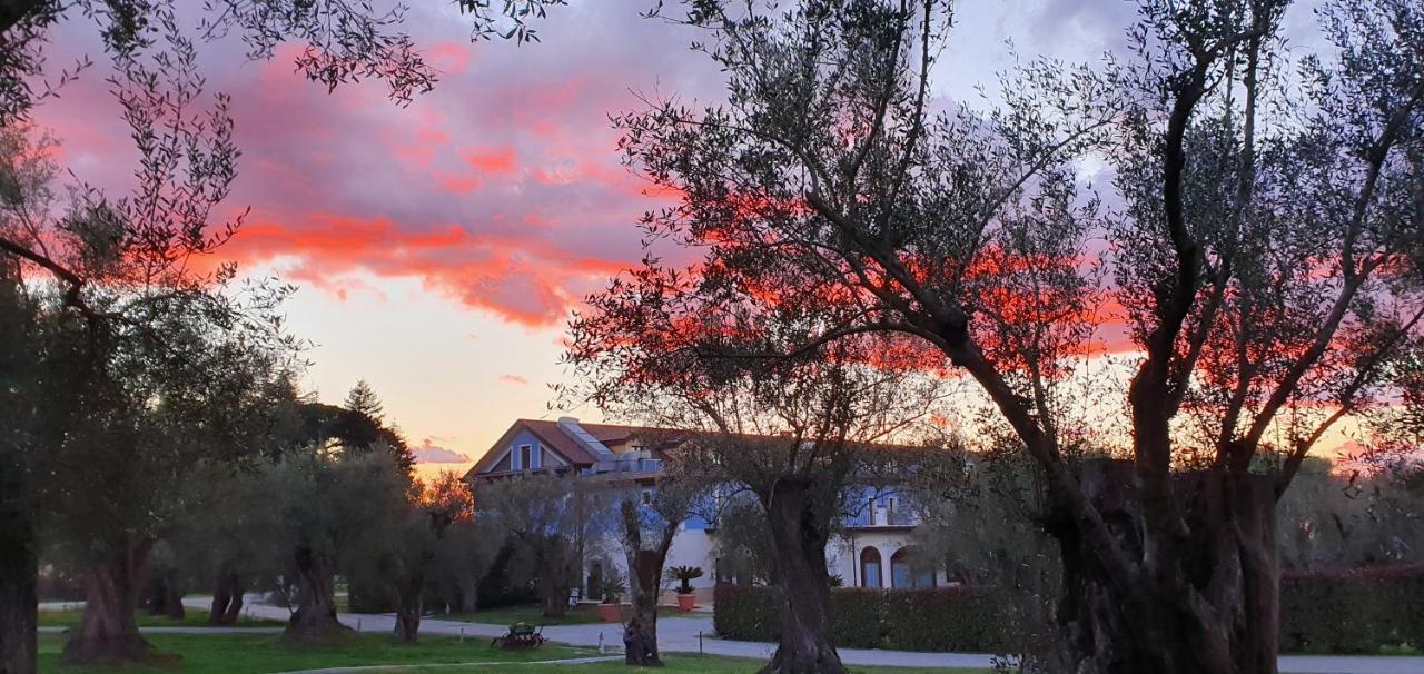 Uliveto Principessa Resort Cittanova  Zewnętrze zdjęcie
